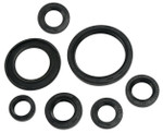 Moose Complete Engine Oil Seal Kit (0935-0389)