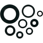 Moose Complete Engine Oil Seal Kit (M822110)