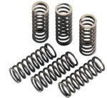Moose Replacement Clutch Springs (1131-0097)