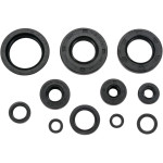 Moose Complete Engine Oil Seal Kit (0935-0043)