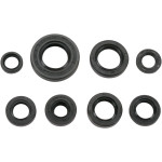 Moose Complete Engine Oil Seal Kit (0935-0028)