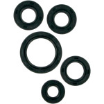 Moose Complete Engine Oil Seal Kit (M822138)