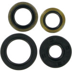 Moose Complete Engine Oil Seal Kit (0935-0078)