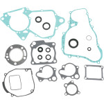 Moose Complete Engine Gasket Kit w/Oil Seals (M811232)