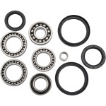 Moose Rear Differential Bearing & Seal Kit (1205-0181)