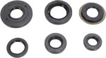 Moose Complete Engine Oil Seal Kit (0935-0838)
