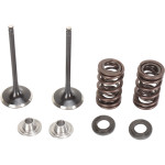 Moose Stainless Exhaust Valve & Spring Kit (0926-2454)