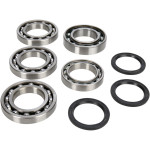 Moose Front Differential Bearing & Seal Kit (1205-0210)