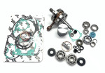 Vertex Complete Engine Rebuild Kit-in-a-Box (WR101-107)