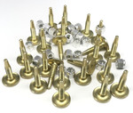 Woodys Gold Digger Traction Master 1.325" Carbide Studs 24 Pack (GDP6-1325-S)
