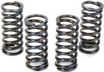 Vesrah Clutch Spring Kit (SK-328)