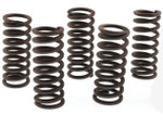 Vesrah Clutch Spring Kit (SK-225)