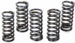 Vesrah Clutch Spring Kit (SK-401)