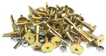 Stud Boy 1.625" Assassins Push-Through Drag Studs | 48 Pack (2466-P2)