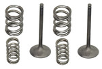 Pro-X Steel Exhaust Valve & Spring Kit (28.SES4406-1)