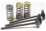 Pro-X Steel Intake Valve & Spring Kit (28.SIS2402-2)