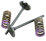 Pro-X Steel Intake Valve & Spring Kit 04-07 CRF250R/04-17 CRF250X (28.SIS1336-2)