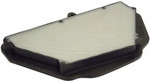 HiFlo OE Replacement Air Filter (HFA2921)
