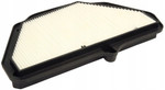 HiFlo OE Replacement Air Filter (HFA2921)