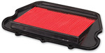 HiFlo OE Replacement Air Filter (HFA1910)