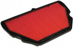 HiFlo OE Replacement Air Filter (HFA1603)