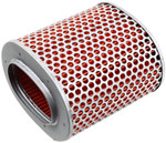 HiFlo OE Replacement Air Filter (HFA1502)