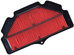 HiFlo OE Replacement Air Filter (HFA3613)