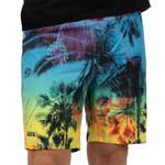 FXR Beach 23 Mens Boardshorts