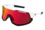 Bobster Freewheel Sunglasses