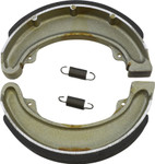 DP Standard Brake Shoes (9119)