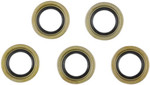 Cometic Starter Shaft Seal 5 Pack (C9379)