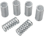 Belt Drives Clutch Springs 6-Pack (ECS-100)