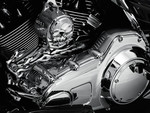 Kuryakyn 1-Piece Deluxe Chrome Inner Primary Cover (7780)