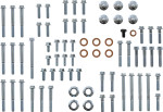 Bolt 2-Stroke Engine Fastener Kit (E-R2-9600)
