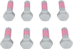 Bolt M6 x 16mm Honda Steel Rotor Bolts (HRTR85150)