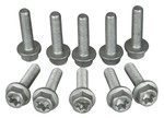 Bolt M5-0.8x20 Euro Style Torx Flange Bolts 10 Pack (024-50520)