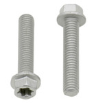 Bolt M6-1.0x30 8mm Euro Style Torx Flange Bolt 10 Pack (024-60630)