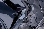 Puig R19 Black Frame Sliders (6055N)