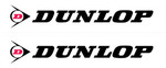 Factory Effex Dunlop Fork/Swingarm Decals (02-7069)