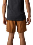 Fox Racing Essex Volley Mens Shorts