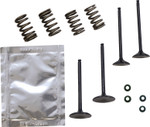 Wiseco Intake & Exhaust Valve & Spring Kit (SVKB2414)