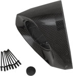 Akrapovic Carbon Fiber End Cap (V-EC210)