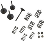 Wiseco Intake & Exhaust Valve & Spring Kit (SVKB4409)
