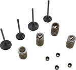 Wiseco Intake & Exhaust Valve & Spring Kit (SVKB3338)