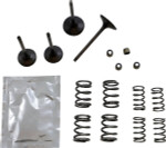 Wiseco Intake & Exhaust Valve & Spring Kit (SVKB4406)