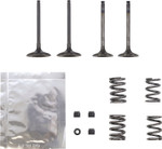 Wiseco Intake & Exhaust Valve & Spring Kit (SVKB3405)