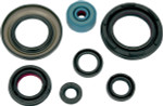 K&S Engine Oil Seal Kit (50-4002)