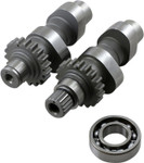 Andrews TW48 Grind Cams (288148)