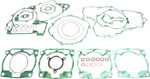 Athena Complete Gasket Kit w/out Oil Seals (P400270850220/1)