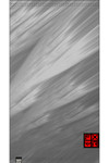 FXR Derby UPF Neck Gaiter